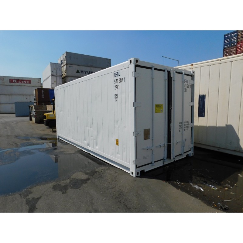 Conteneur réfrigéré de 20 pieds Carrier ML2i construit en 2001 peint en blanc