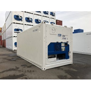 Conteneur réfrigéré de 20 pieds Carrier construit en 2006, peint en RAL 9003